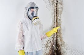 Best Mold Removal for HVAC Installations  in , CO